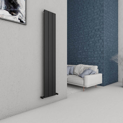 Carisa Chambord Radiateur en Aluminium Vertical Design Moderne Noir