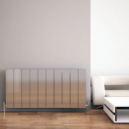 Carisa Elvino Radiateur en Aluminium Horizontal Design Moderne Anodisé Poli