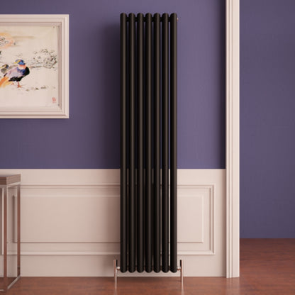 Carisa Oval Radiateur en Aluminium Vertical Design Moderne Noir