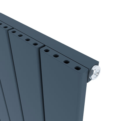 Carisa Angers Radiateur en Aluminium Vertical Design Moderne Anthracite