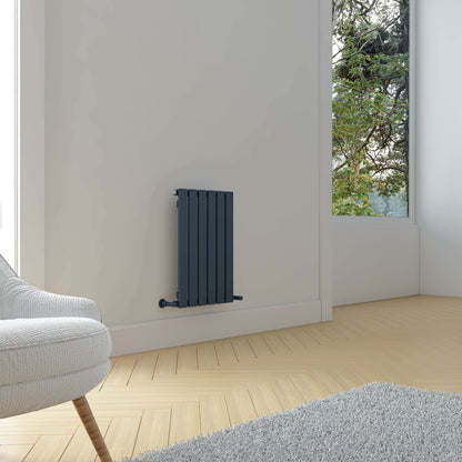 Carisa Plata Radiateur en Aluminium Horizontal Design Moderne Anthracite