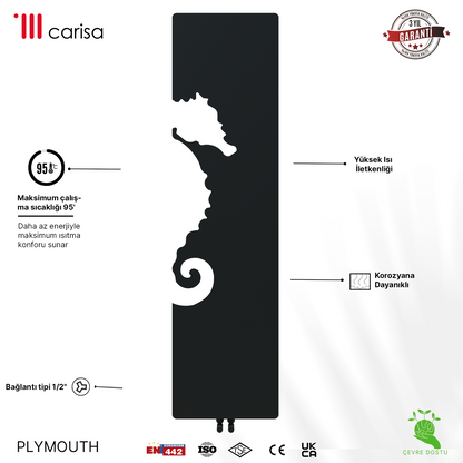 Carisa Plymouth Radiateur Design Mince en Acier Vertical Design Moderne Anthracite