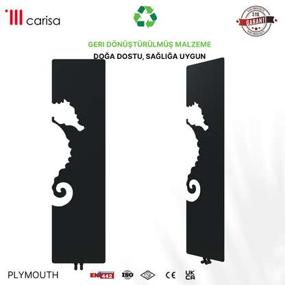 Carisa Plymouth Radiateur Design Mince en Acier Vertical Design Moderne Anthracite