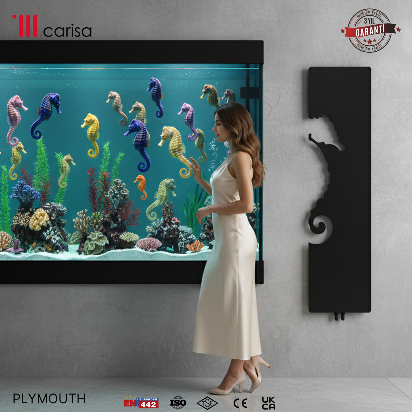Carisa Plymouth Radiateur Design Mince en Acier Vertical Design Moderne Anthracite