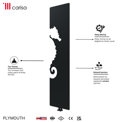 Carisa Plymouth Radiateur Design Mince en Acier Vertical Design Moderne Anthracite