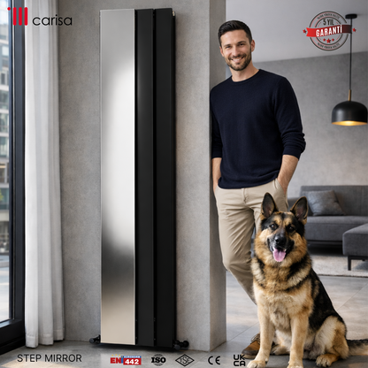 Carisa Step Mirror Radiateur en Aluminium Vertical Design Moderne Anthracite