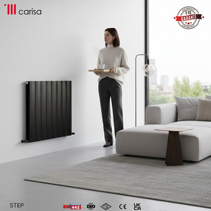 Carisa Step Radiateur en Aluminium Horizontal Design Moderne Anthracite