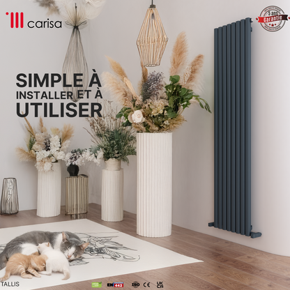 Carisa Tallis Radiateur en Aluminium Vertical Design Moderne Anthracite