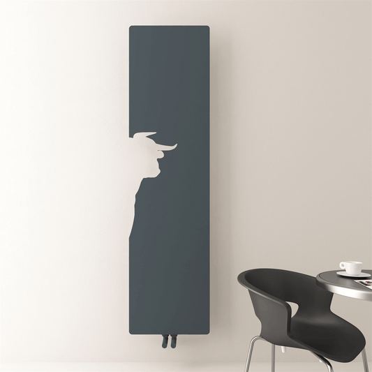 Carisa Lymm Radiateur Design Mince en Acier Vertical Design Moderne Anthracite